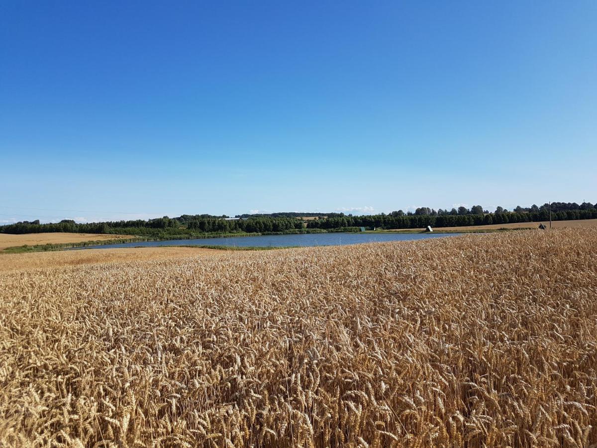 Sterla - Masuria Giżycko Exterior foto